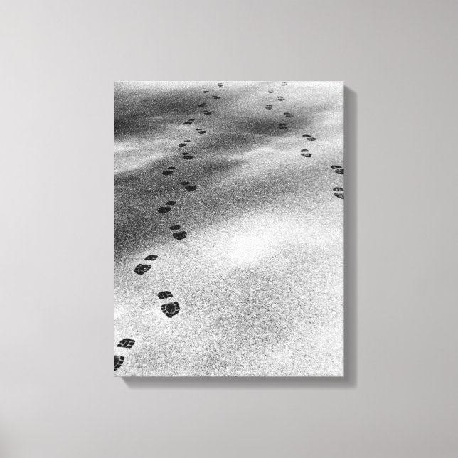 Footprints in Snow Canvas Print (Front)