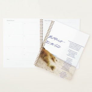 footprints in the sand planner