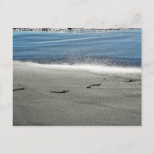 Footprints In The Sand Postcard