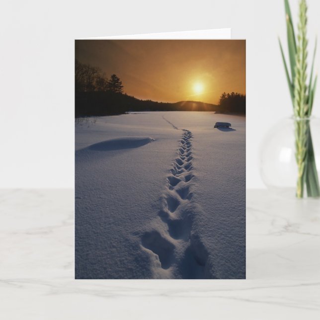 Footprints In the Snow blank note card (Front)