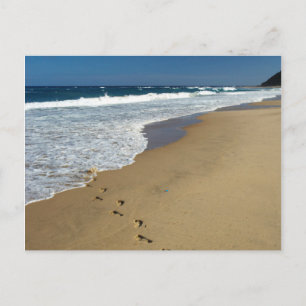 Footprints On Beach, Mabibi, Thongaland Postcard