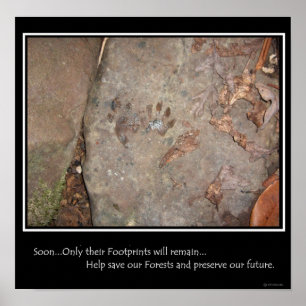Footprints Remain Poster
