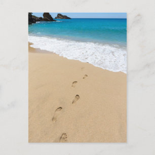 Footsteps in sandy beach leading to blue sea postcard
