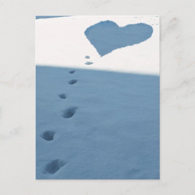 Footsteps In Snow Postcard (Front)