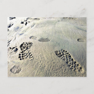 Footsteps in the Sand Postcard