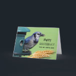 For Birth Son Birthday with Blue Jay at Feeder Card<br><div class="desc">Happy Birthday for a birth son. A Blue Jay at a bird feeder along with heads of wheat are featured on this bird themed birthday greeting card. Great card for the bird lover in your life. Art,  image,  and verse copyright © Shoaff Ballanger Studios,  2023.</div>