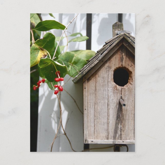 For Bob Postcard (Front)