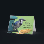 For Brother Birthday with Blue Jay at Feeder Card<br><div class="desc">Happy Birthday for a brother. A Blue Jay at a bird feeder along with heads of wheat are featured on this bird themed birthday greeting card. Great card for the bird lover in your life. Art,  image,  and verse copyright © Shoaff Ballanger Studios,  2023.</div>