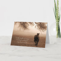 for Cancer Survivor Sentimental Horse