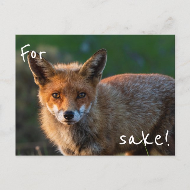 For Fox Sake Postcard (Front)