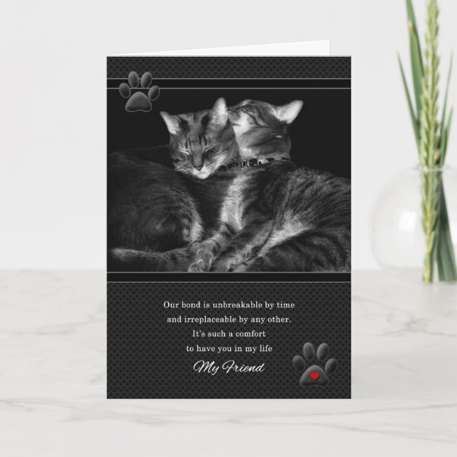 for Friend's Birthday Cat Lover with Red Heart Card (Front)