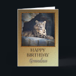 For Grandson a Birthday with a snow leopard Card<br><div class="desc">A birthday card for a Grandson showing a regal snow leopard lying in his cave.</div>