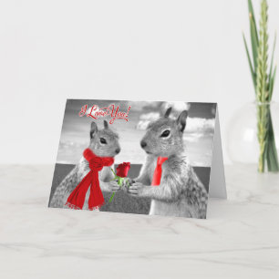 For Husband on Valentine's Day Funny Squirrel Holiday Card
