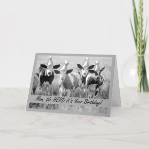 For Mom Funny Birthday Cows in Hats Card