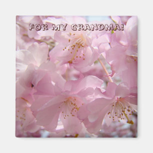 For My Grandma! magnet Pink Tree Flowers Blossoms