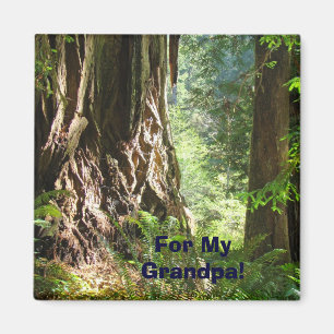 For My Grandpa! magnet Big Redwood Trees