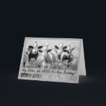 For Sister Funny Birthday Cows in Hats Card<br><div class="desc">Black and white photo of cattle with elongated ears and pointed paper party hats are featured on this birthday card for someone's sister. Art,  image,  and verse copyright © Shoaff Ballanger Studios,  2023.</div>