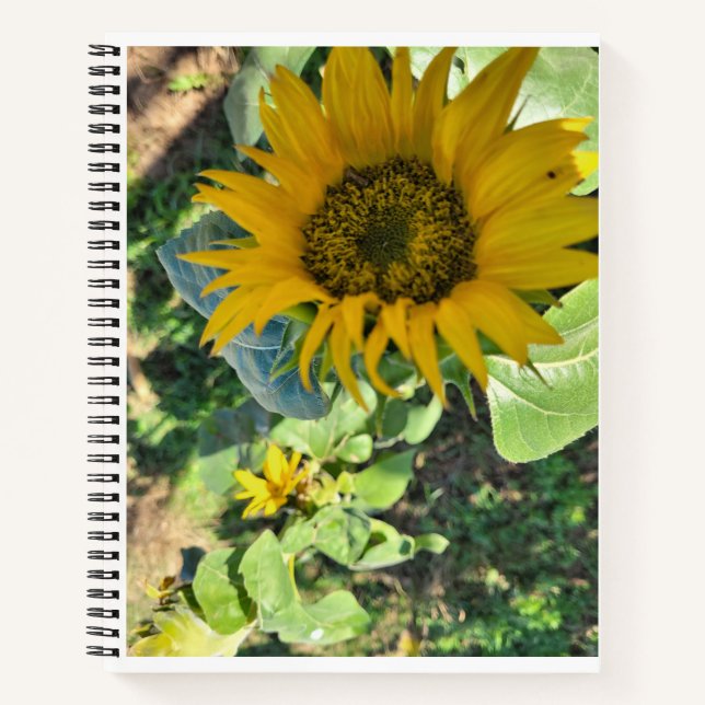 For sketching, drawing, journalling notebook (Front)