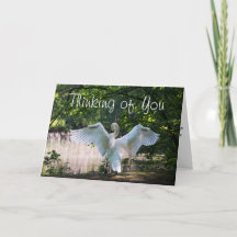 For Someone who is Terminal Card