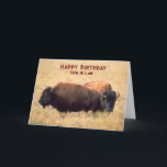 For Son in Law Birthday with a Pair of Bison Card<br><div class="desc">Birthday greetings for a son in law,  son-in-law with a pair of bison on the prairie surrounded by tall grasses. Art,  image,  and verse copyright © Shoaff Ballanger Studios,  2023.</div>