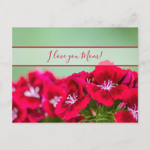 For the best mommy in the world on mother´s day! postcard
