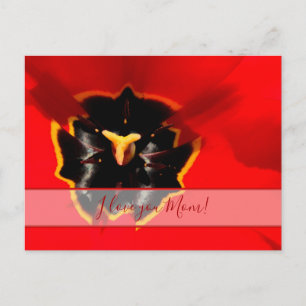 For the best mommy in the world! postcard