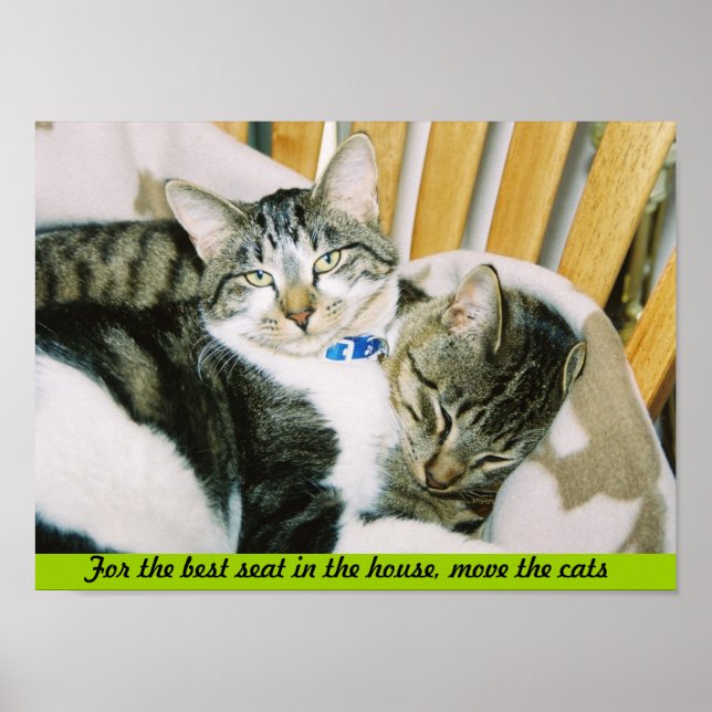 For the best seat in the house, move the cats poster (Front)