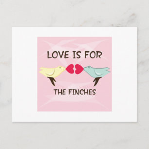 For The Finches Postcard