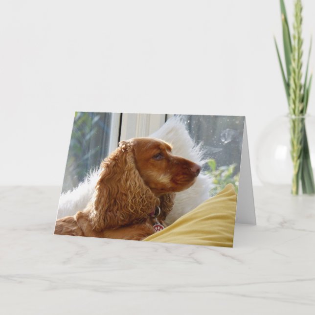 For the love of dogs card (Front)