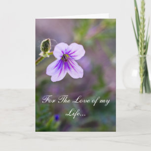 For The Love of my Life Holiday Card