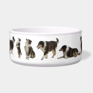 For the Sweet Tri Rough Collie, a Large Pet Bowl