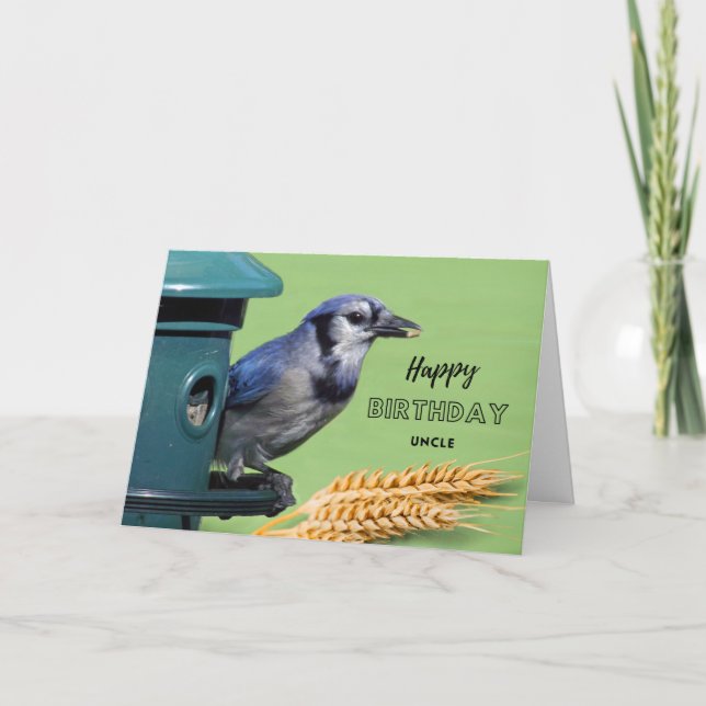 For Uncle Birthday with Blue Jay at Feeder Card (Front)