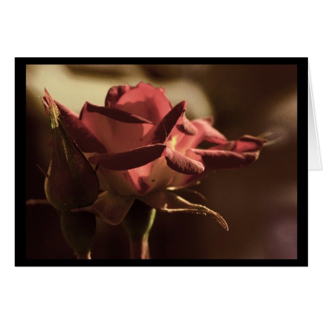 For you (Front Horizontal)