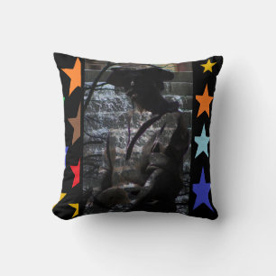 For Your Couch Sofa or Bed a Decorative Modern Throw Pillow