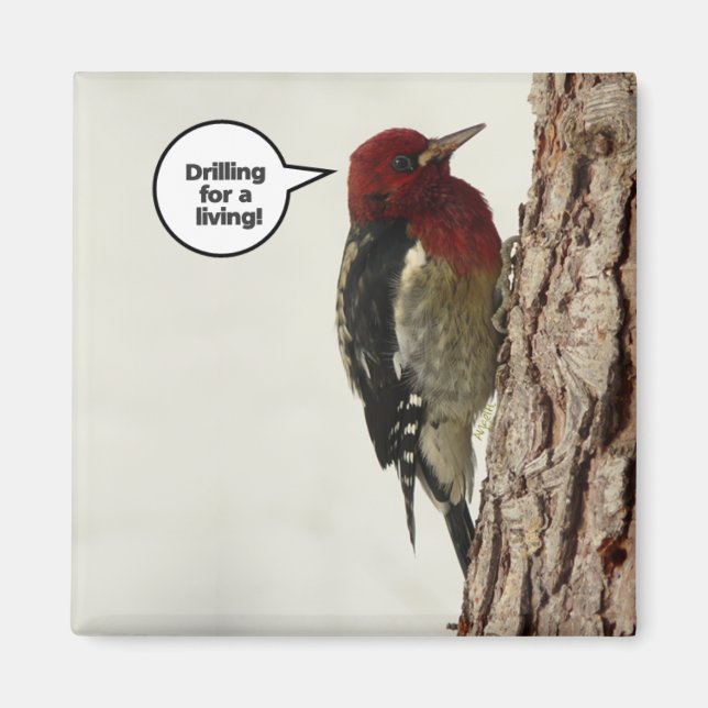 Forage pour un aimant vivant (Devant)