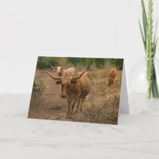 Foraging for Food Card