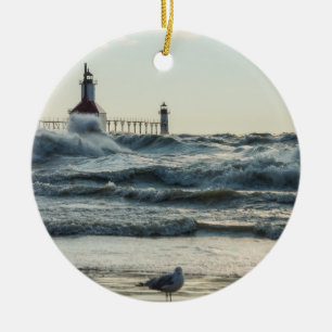 Force Behind Beauty Ceramic Ornament