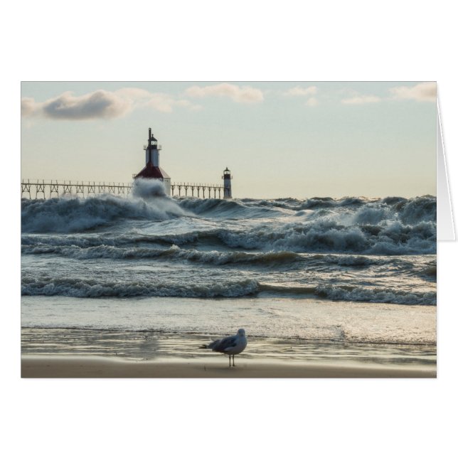 Force derrière la beauté (Devant Horizontal)