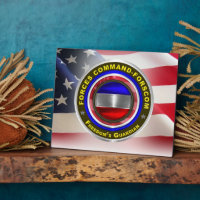 Forces Command FORSCOM 