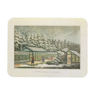 Forcing Garden in Winter, from Fragments on the Th Magnet