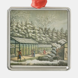 Forcing Garden in Winter, from Fragments on the Th Metal Ornament