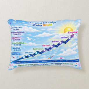Forecast for Today: BrainyBright Weather!Tote bags Accent Pillow
