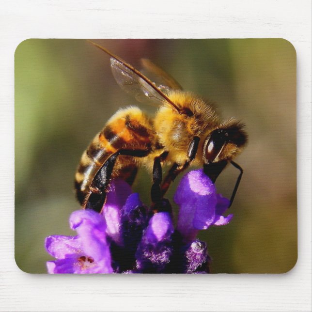 Foreground bee photo mouse pad (Front)