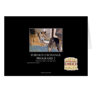 Foreign Exchange Programs 2
