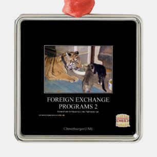 Foreign Exchange Programs 2 Metal Ornament
