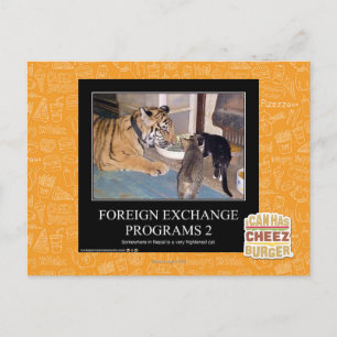 Foreign Exchange Programs 2 Postcard