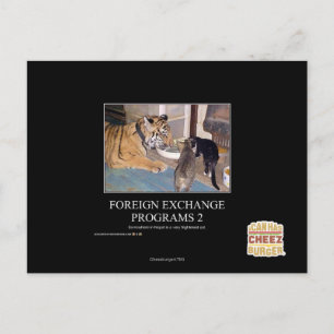 Foreign Exchange Programs 2 Postcard