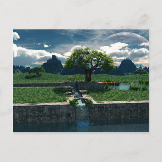 Foreign Oasis Postcard