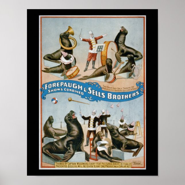 Forepaugh and Sells - vintage circus sealions Poster (Front)