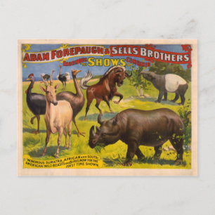 Forepaugh and Sells Wondrous Beasts Circus Poster Postcard